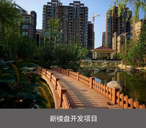 兩層簡易式停車庫新樓盤開發(fā)項目