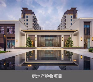 兩層簡易式停車庫房地產(chǎn)驗收項目